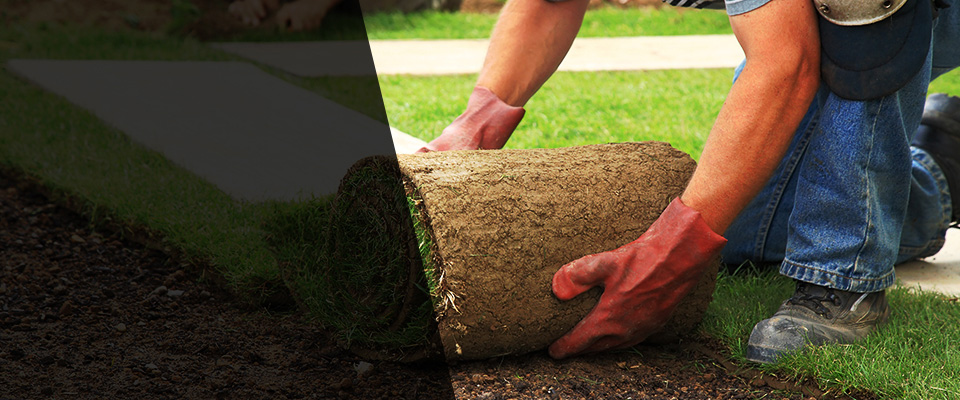 Pasadena Landscapers